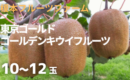 東京ゴールド ゴールデンキウイ 10〜12玉 [11246-0282]