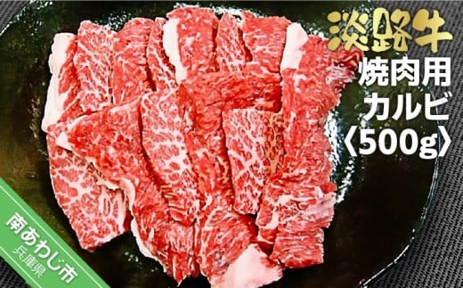 淡路牛焼肉用カルビ　500g 238562 - 兵庫県南あわじ市