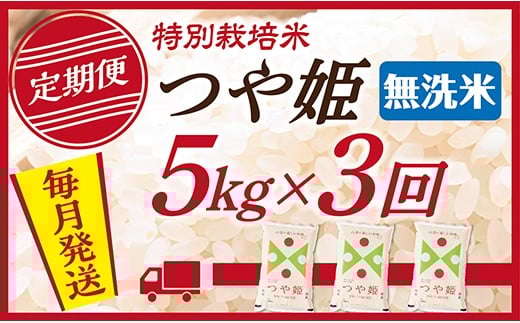 【定期便】【無洗米】 令和7年産 山形県産 つや姫 5kg (5kg×1)  3回配送 2289249 - 山形県最上町