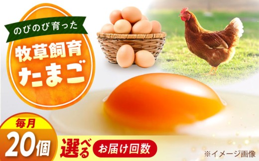 天心山　たまご20個　【回数が選べる定期便】卵 たまご 高級 食品 たまごかけご飯 卵かけご飯 卵焼き 生卵 濃厚 ケーキ お菓子 づくり ランキング 上位 人気 おすすめ 定期便　広島県福山市/天心山ファーム [BABW020]