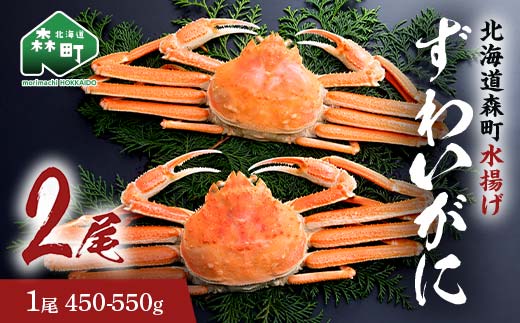 【12/27~12/31にお届け】ずわいがに（450g～550g） 2尾入り 北海道森町水揚げ かに カニ 蟹 ガニ がに 森町 ふるさと納税 北海道 ずわいかに ズワイガニ mr1-1101