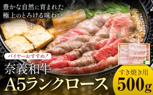 奈義和牛 A5ランクロース バイヤーおすすめ！ すき焼き用 500g 株式会社 天満屋《30日以内に出荷予定(土日祝除く)》岡山県 矢掛町 和牛 牛肉 肉 A5ランク すき焼き 送料無料 2304825 - 岡山県矢掛町
