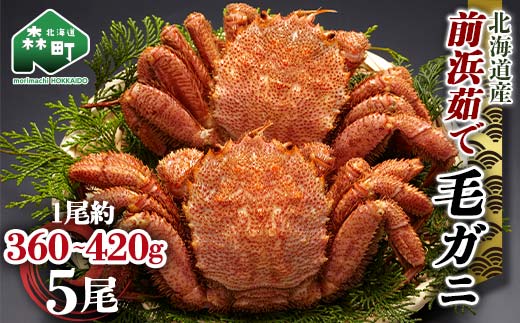 【12/27~12/31にお届け】北海道 毛ガニ 容量が選べる 前浜茹で毛がに 約360g～420g 5尾 かに カニ 蟹 ガニ がに 森町 毛蟹 毛かに 毛がに 毛カニ 毛ガニ mr1-1116