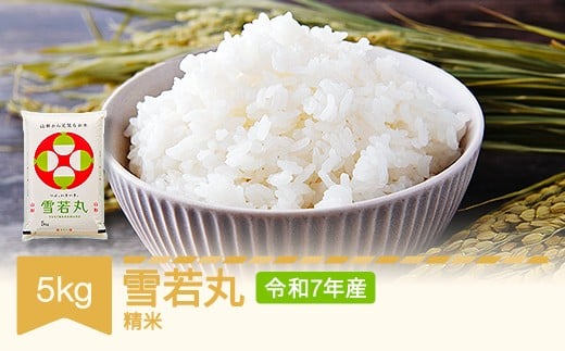 新米 コメ 5kg  雪若丸 精米 米 令和7年産 2025年産 山形県村山市産 no-ywxxx5 ※沖縄・離島への配送不可