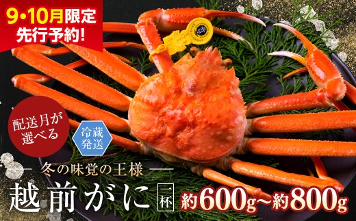 【2025年3月発送・月指定可】【先行予約 9月10月限定】越前がに（オス）「ずわいがに」中サイズ（600g～800g） 1杯 2246615 - 福井県越前市