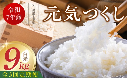 【定期便3回】【令和7年産 新米】福岡県産ブランド米元気つくし 白米 9kg×3回 _Tk079 2296388 - 福岡県久留米市