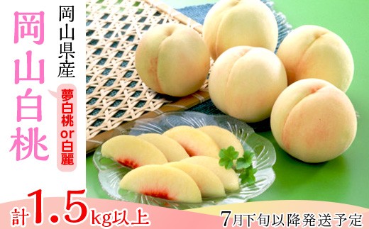 白桃5〜7玉(夢白桃もしくは白麗)[2026年7月下旬〜8月上旬発送予定]