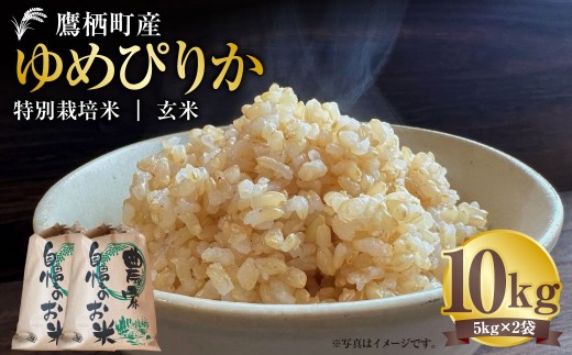 【令和7年産】 ゆめぴりか （玄米） 5kg×2袋 北海道 鷹栖町 たかすタロファーム 米 コメ こめ ご飯 玄米 お米 ゆめぴりか コメ 玄米 2289830 - 北海道鷹栖町