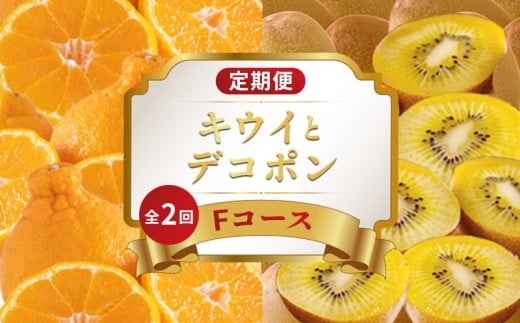 旬のフルーツ 定期便 2回 Fコース 果物 フルーツ さぬきゴールド デコポン キウイ ゴールドキウイ 不知火 みかん 柑橘 蜜柑 デザート スイーツ ケーキ アイス ふるさと納税定期便 ふるさと納税フルーツ ギフト 贈答 送料無料 ふるさと納税 香川県 丸亀市
