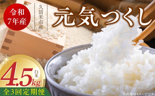 【定期便3回】【令和7年産 新米】福岡県産ブランド米元気つくし 白米 4.5kg×3回 _Tk078 2296387 - 福岡県久留米市