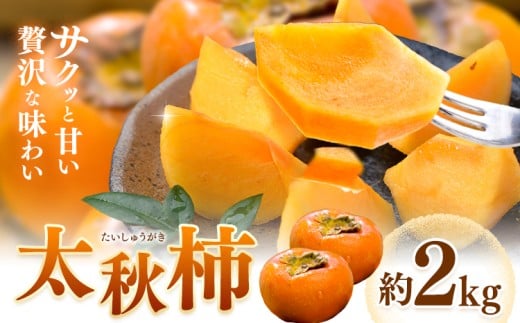 柿 太秋柿 たいしゅうがき 約2kg 日本フルーツ株式会社《9月上旬-10月末頃出荷》熊本県 菊池市 柿 かき 熊本県産 秋の味覚 果物 くだもの フルーツ デザート