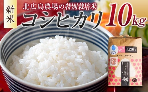 北広島農場 特別栽培米 コシヒカリ 精米10kg 2025年産米 米どころ北広島町のおいしいお米_NI083_005