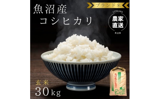 令和7年産 ブランド米 魚沼産コシヒカリ 玄米 30kg 米 こしひかり 新潟