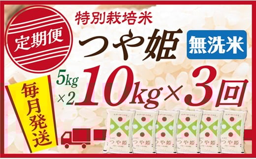 【定期便】【無洗米】 令和7年産 山形県産 つや姫 10kg (5kg×2)  3回配送 2289250 - 山形県最上町