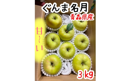 先行受付＜青森市産・ぐんま名月＞約3kg(家庭用)【1181966】 2291053 - 青森県青森市