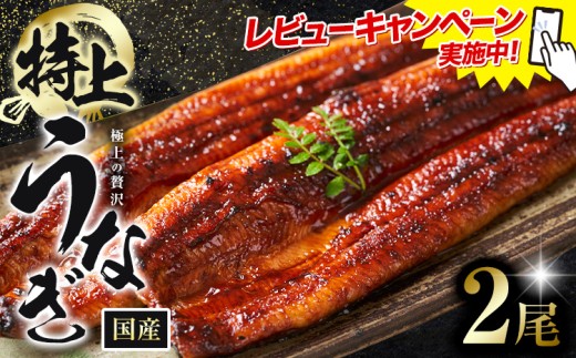 レビューキャンペーン実施中！ うなぎ 特上 鰻 福岡県産 鰻の蒲焼き 数量限定 2尾 HOMIE《45日以内に出荷予定(土日祝除く)》福岡県 鞍手郡 鞍手町 鰻 蒲焼き 数量限定 国産 蒲焼 うなぎ蒲焼
