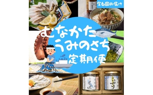 HB0200_【年6回／偶数月お届け】海のまちから「絶品」海産物をお届け!むなかたうみのさち定期便