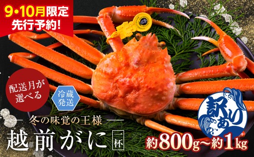 【2026年3月発送・月指定可】【先行予約 9月10月限定】越前がに（オス）「ずわいがに」大サイズ（800g-1kg） 訳あり 1杯 2246624 - 福井県越前市