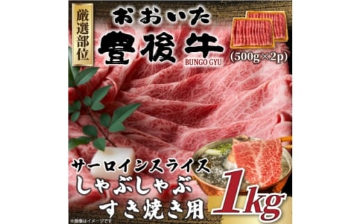 ＜毎月定期便＞厳選部位 おおいた豊後牛サーロインしゃぶすき焼き用1kg 500g×2(日出町)全6回【4074266】