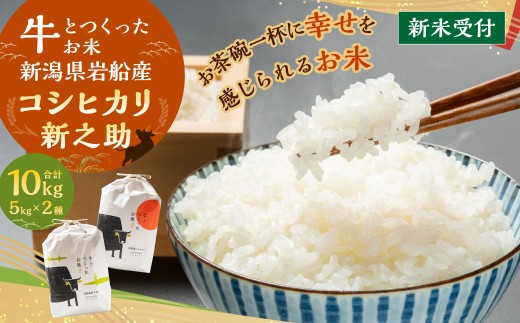 [新米受付・令和7年産米]牛とつくったお米 新潟県村上市岩船産 コシヒカリ 5kg・新之助 5kg 精米 計10kg 1041006N