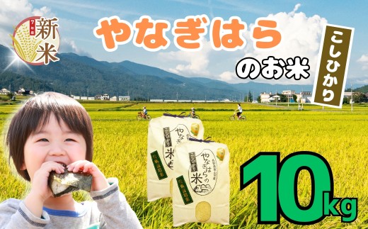 【先行予約】＜令和7年産新米＞ 特別栽培米 「やなぎはらの米 こしひかり」10㎏ (7-68) 2292912 - 長野県飯山市