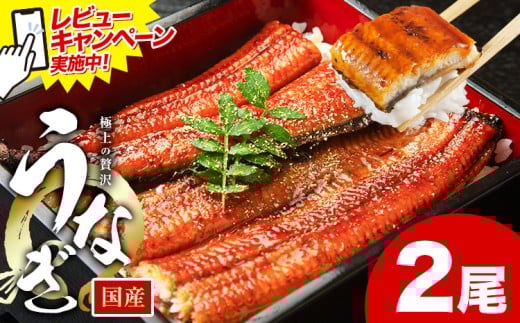 レビューキャンペーン実施中！ うなぎ 鰻 ご家庭用  2尾 (サイズ不選別：1尾当たり140g-180g) 福岡県産 鰻の蒲焼き 数量限定 株式会社HOMIE《1月上旬-1月末頃出荷》福岡県 鞍手郡 鞍手町 鰻 蒲焼き 数量限定 国産 蒲焼 うなぎ蒲焼