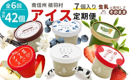 新フレーバー入り!全6回★全種類のアイスが届く!アイス定期便☆ 南信州根羽村産アイス が毎月7個届く! 合計42個 アイスクリーム ソフトクリーム バニラ 西尾 いちご 紅ほっぺ いちご りんご ブルーベリー 抹茶 ミルク 30000円 30,000円