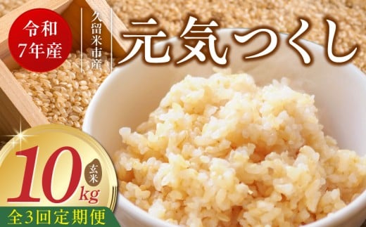 【定期便3回】【令和7年産 新米】福岡県産ブランド米元気つくし 玄米 10kg×3回 _Tk077 2296386 - 福岡県久留米市