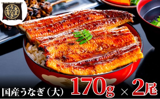 [№5695-1748]【期間限定9月30日までの特別価格！】うなぎ蒲焼 170g×2尾(340g) うなぎ ウナギ 鰻 蒲焼 蒲焼き冷凍 国産 大五 大五通商 静岡 島田市