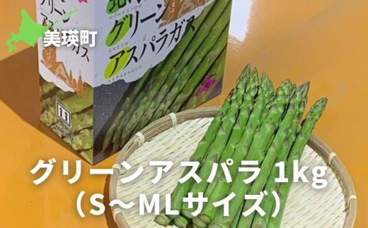 【先行予約】グリーンアスパラ 1kg（S～MLサイズ）<令和8年産 >サスケの家  | グリーン アスパラガス アスパラ あすぱら あすぱらがす 採れたて 新鮮 旬 産地直送 野菜[010-212]