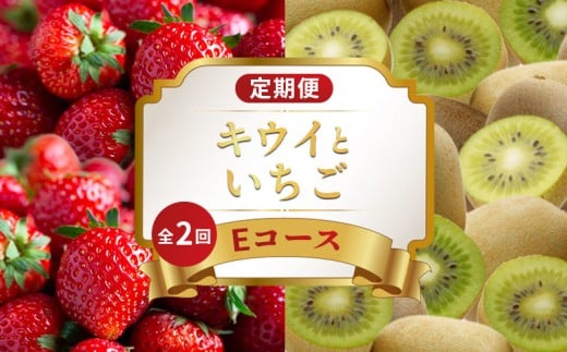旬のフルーツ 定期便 2回 Eコース 果物 フルーツ いちご 苺 さぬきひめ キウイっこ キウイ グリーンキウイ デザート スイーツ ケーキ アイス ジェラート ふるさと納税定期便 ふるさと納税フルーツ ギフト 贈答 送料無料 ふるさと納税 香川県 丸亀市