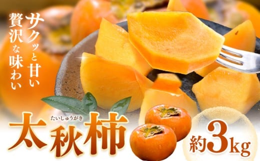 柿 太秋柿 たいしゅうがき 約3kg 日本フルーツ株式会社《9月上旬-10月末頃出荷》熊本県 菊池市 柿 かき 熊本県産 秋の味覚 果物 くだもの フルーツ デザート