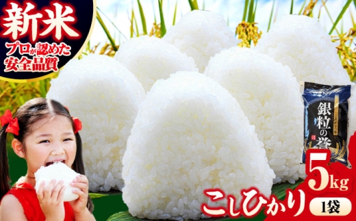 【令和7年産米】米 こしひかり 5kg 白米 お米 ご飯 コシヒカリ 三次市/アグリ君田 [APDC001]
