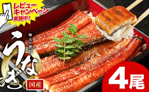 レビューキャンペーン実施中！ うなぎ 鰻 ご家庭用 福岡県産 鰻の蒲焼き 数量限定 4尾 HOMIE《10月上旬-10月末頃出荷》福岡県 鞍手郡 鞍手町 鰻 蒲焼き 数量限定 国産 蒲焼 うなぎ蒲焼