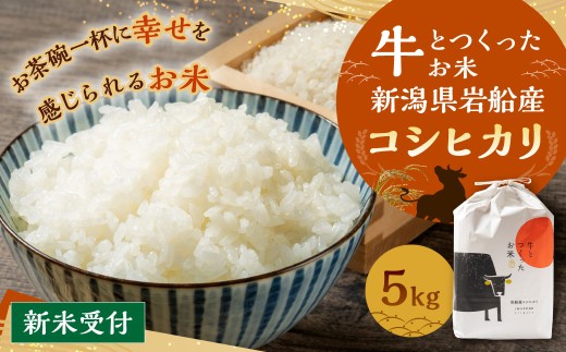 【新米受付・令和7年産米】牛とつくったお米  新潟県村上市岩船産 コシヒカリ 精米 5kg 1041001N　 2270981 - 新潟県村上市