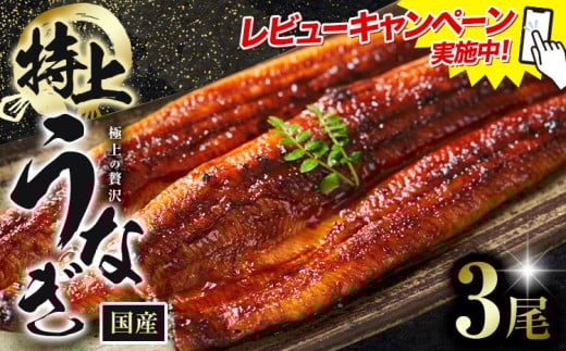 レビューキャンペーン実施中！ うなぎ 特上 鰻 福岡県産 鰻の蒲焼き 数量限定 3尾 HOMIE《45日以内に出荷予定(土日祝除く)》福岡県 鞍手郡 鞍手町 鰻 蒲焼き 数量限定 国産 蒲焼 うなぎ蒲焼