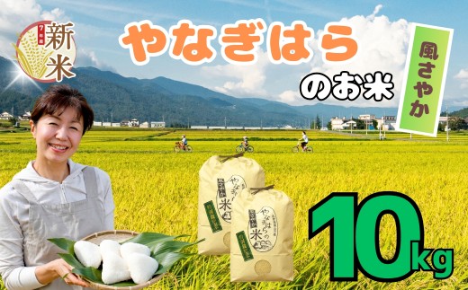 【先行予約】＜令和7年産新米＞  特別栽培米 「やなぎはらの米 風さやか」10㎏ (7-71) 2292915 - 長野県飯山市