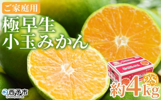 ＜極早生小玉みかん ご家庭用 約4kg＞ ご家庭用 果物 フルーツ みかん ミカン 蜜柑 オレンジ 柑橘 食べて応援 特産品 宇都宮物産 愛媛県 西予市【常温】 1411894 - 愛媛県西予市