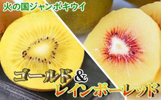 火の国ジャンボキウイ《ゴールド&レッド詰合せ》 【大玉・完熟】 濃厚な味わいの品種2種セット 436082 - 熊本県南関町