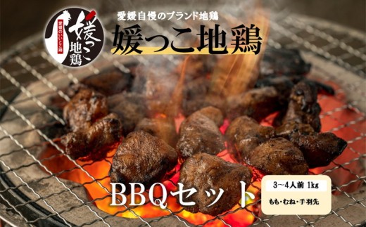 媛っ子地鶏 BBQセット 1kg(3〜4人前)| モモ ムネ 手羽先 愛媛県 久万高原町 久万山養鶏研究所 地鶏 鶏肉 肉 食感 旨み アウトドア キャンプ 炭火焼 ジューシー お取り寄せ グルメ 国産 冷蔵 ※北海道・沖縄・離島への配送不可
