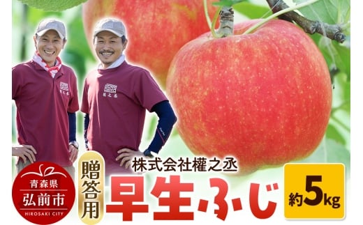 【25年10月～発送】りんご 權之丞farm 早生ふじ 贈答用 約5kg（12～20玉程度）【レビューキャンペーン】