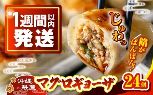 冷凍マグロギョーザ 24個(12個入り2パック) 餃子 冷凍 国産 マグロ 沖縄産 沖縄市 / 沖縄市漁業協同組合 パヤオ直売店 [BCDZ003]