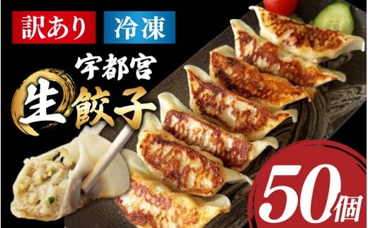 【訳あり】福井のうまい生餃子 50粒【冷凍】 [A-195002] /  ぎょうざ たれ付き もちもちおかず 冷凍 豚肉 国産 送料無料 餃子 ギョウザ 宇都宮 一口 もちもち 国産 50個 タレ タレ付き たれ 