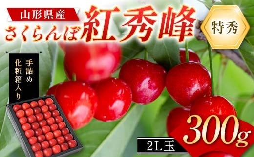 さくらんぼ 紅秀峰300g 2L玉 特秀 手詰めギフト 山形県産 化粧箱入り 【令和8年度 先行予約】 FSY-2264