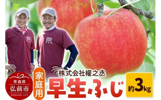 【25年10月～発送】りんご 權之丞farm 早生ふじ 家庭用 約3kg（6～10玉程度）【レビューキャンペーン】
