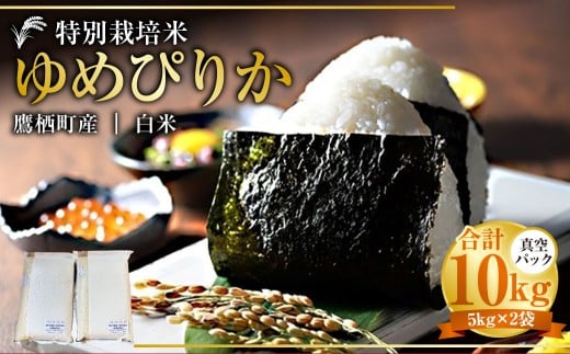 【令和7年産】 ゆめぴりか （白米） 真空パック 5kg×2袋 10kg 北海道 鷹栖町 たかすタロファーム 米 コメ こめ ご飯 白米 お米 ゆめぴりか コメ白米 白米 682181 - 北海道鷹栖町