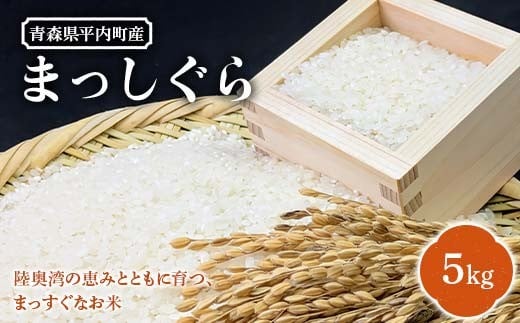 青森県 平内町産 お米 まっしぐら 5kg 白米 米 おこめ コメ 精米 東北 F21J-289