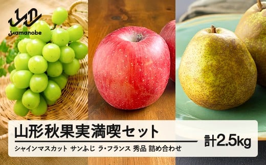 《先行予約》2025年 山形県産 山形秋果実満喫セット シャインマスカット サンふじ ラ・フランス 秀品 詰め合わせ 2.5kg 化粧箱入り 令和7年産 ※沖縄・離島への配送不可 ns-fsrls2500