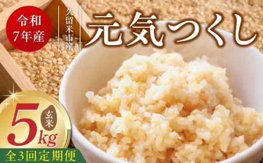 【定期便3回】【令和7年産 新米】福岡県産ブランド米元気つくし 玄米 5kg×3回 _Tk076 2296385 - 福岡県久留米市