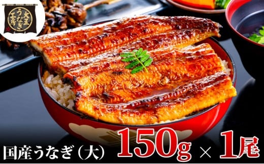 [№5695-1738]【期間限定9月30日までの特別価格！】うなぎ蒲焼 150g×1尾 うなぎ ウナギ 鰻 蒲焼 蒲焼き冷凍 国産 大五 大五通商 静岡 島田市	